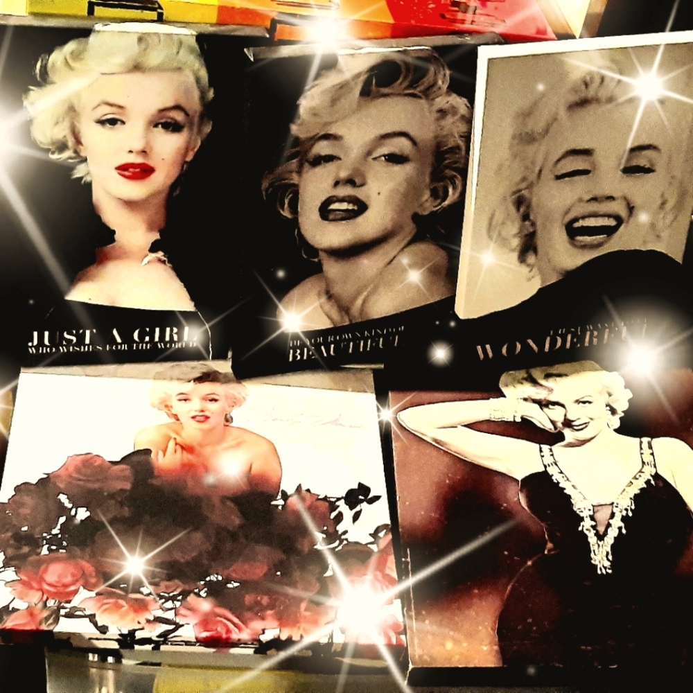 5 piece Marilyn Monroe Canvas Art Bundle
